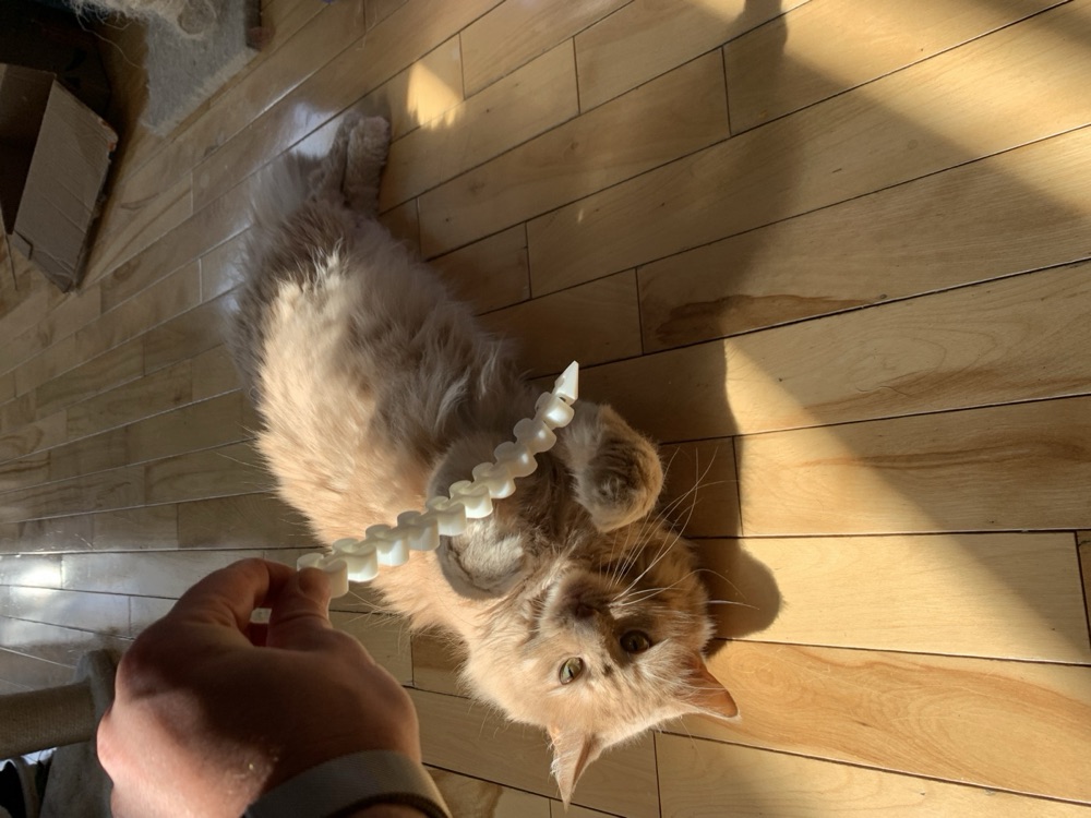 Esnek Halkalı Zincirli Kedi Oyuncağı (Sallanan, Tek Parça) görsel 2