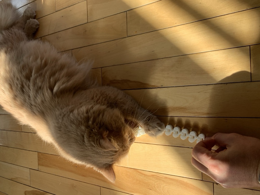 Esnek Halkalı Zincirli Kedi Oyuncağı (Sallanan, Tek Parça) görsel 3