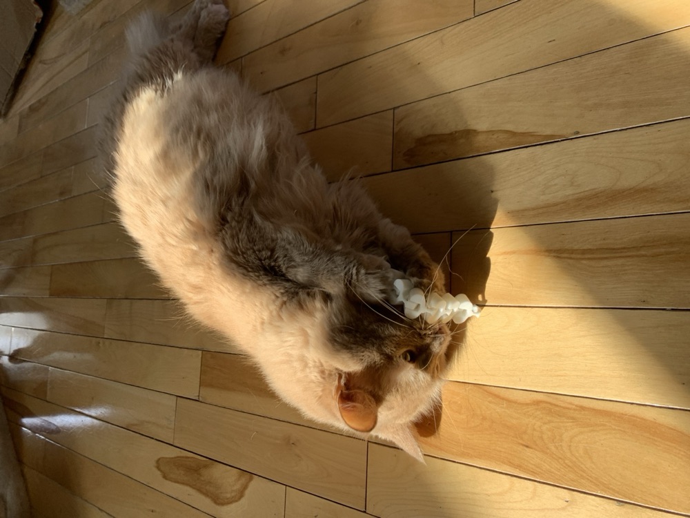 Esnek Halkalı Zincirli Kedi Oyuncağı (Sallanan, Tek Parça) görsel 4