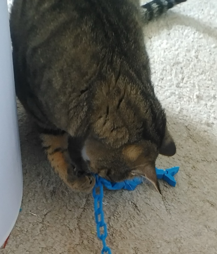 Balıklı Zincir Kedi Oyuncağı (Eklemli Balık ve Saplı Zincir)