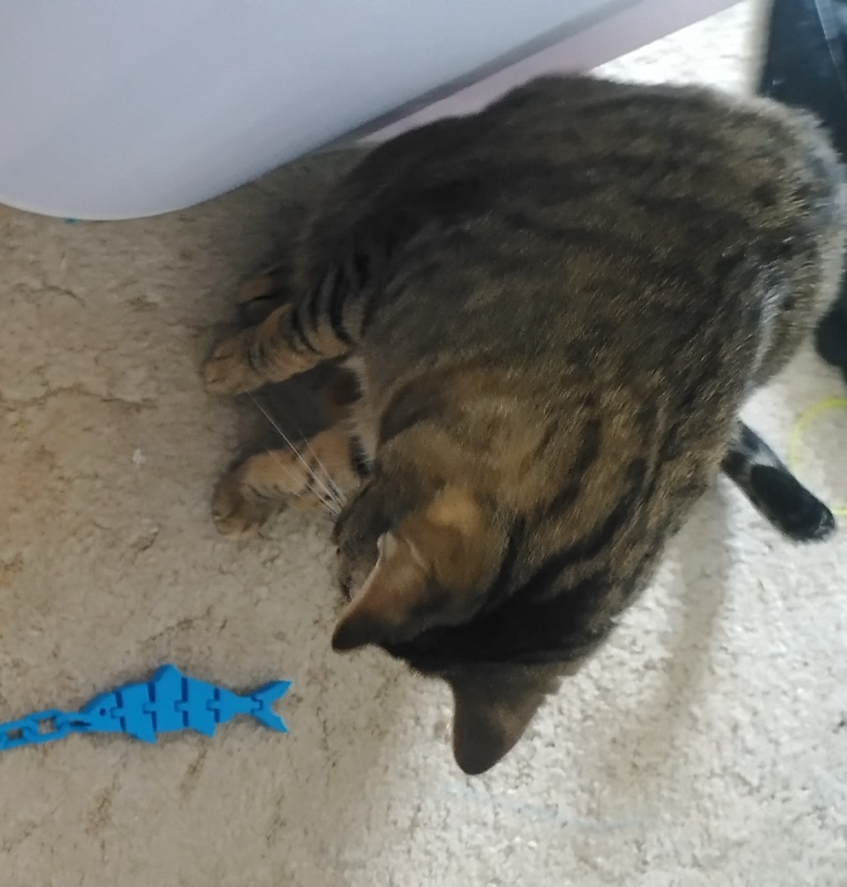Balıklı Zincir Kedi Oyuncağı (Eklemli Balık ve Saplı Zincir) görsel 2