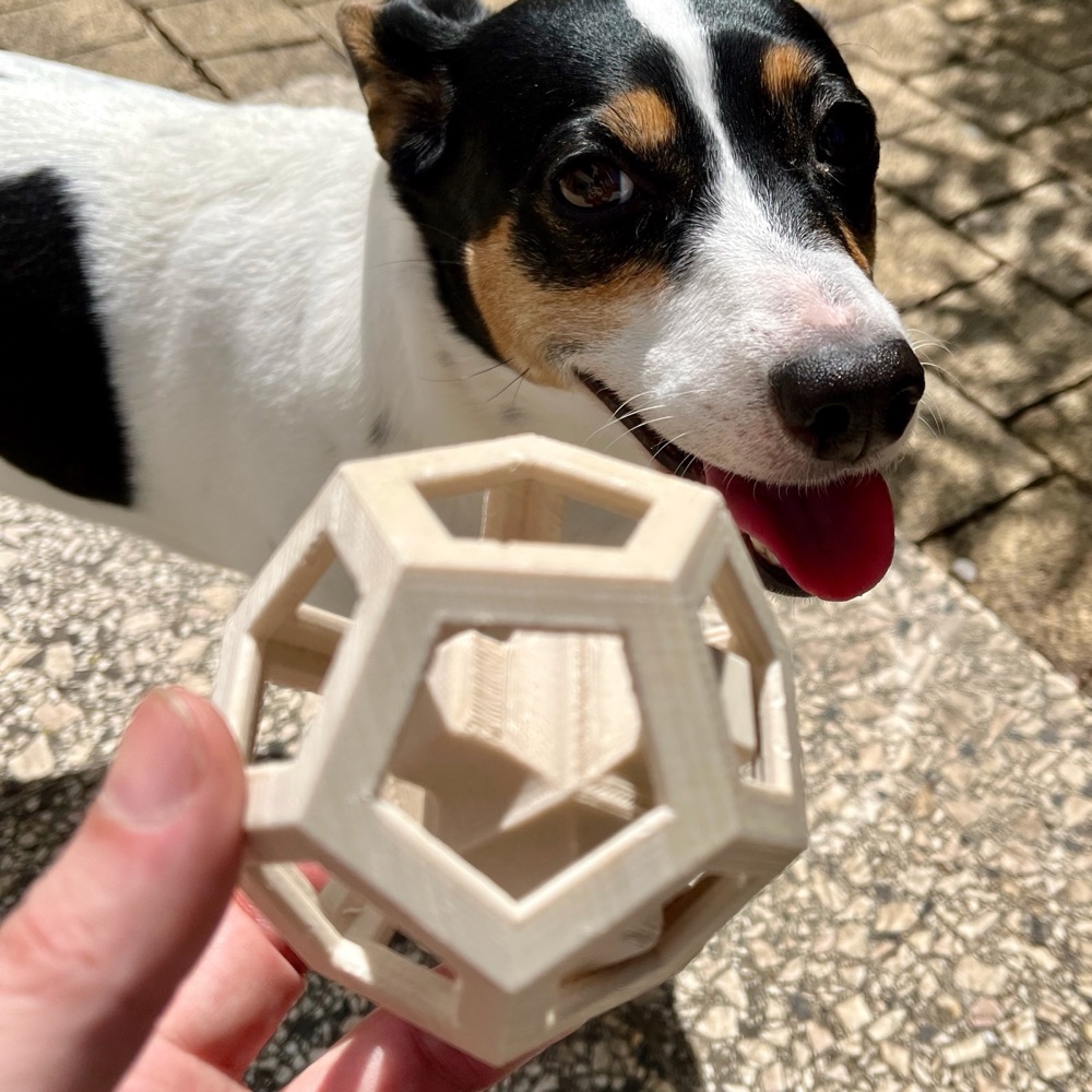 Oniki Yüzlü Kafes Köpek Oyuncağı (İçinde Serbest Hareket Eden Parça)