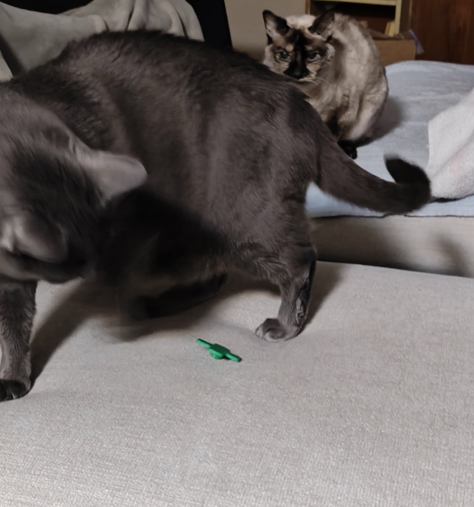 Dönen ve Kayan Artı Biçimli Kedi Oyuncağı (Üstte Yuvarlak Başlı) görsel 2