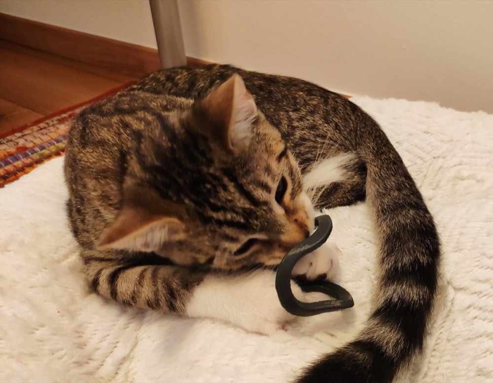 Sonsuzluk Biçimli Halka Kedi Oyuncağı (Tek Parça)