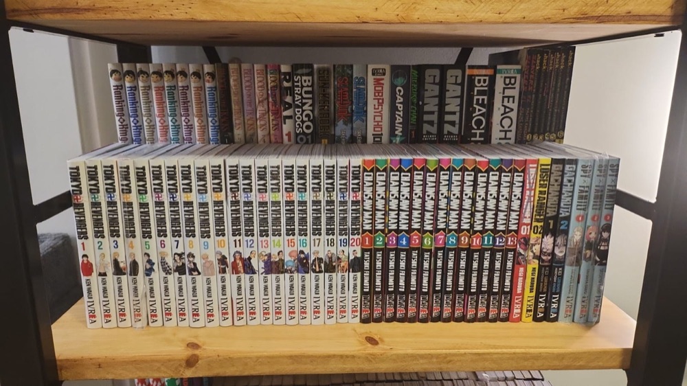 Kitap ve Manga Yükseltici Raf (Arka Sırayı Görünür Kılar) görsel 3