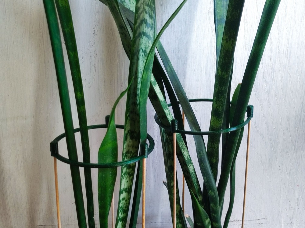 Yuvarlak Bitki Destek Halkası (10 cm İç Çaplı, Ahşap Çubuklarla)