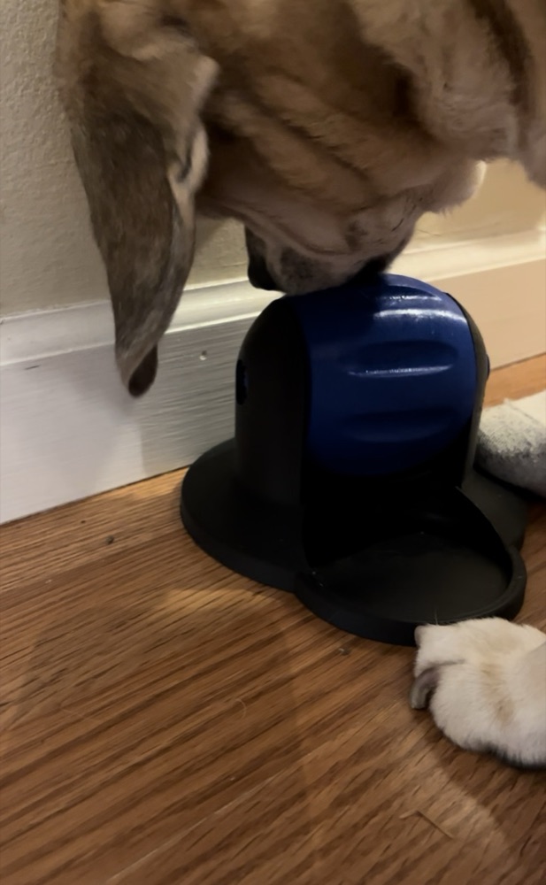 Köpek Ödül Dağıtıcı (Dönen Silindirli, Elektriksiz) görsel 2
