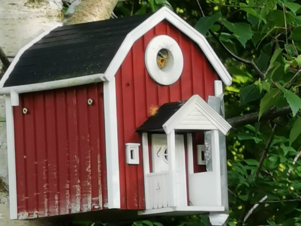 İsveç Kır Evi Tarzı Kuş Yuvası (Verandalı, Su Hazneli)