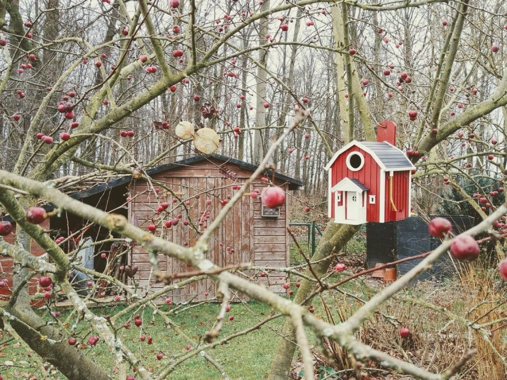 İsveç Kır Evi Tarzı Kuş Yuvası (Verandalı, Su Hazneli) görsel 2