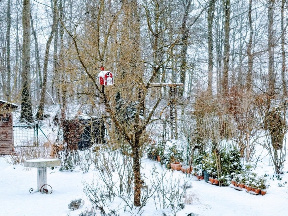İsveç Kır Evi Tarzı Kuş Yuvası (Verandalı, Su Hazneli) görsel 3