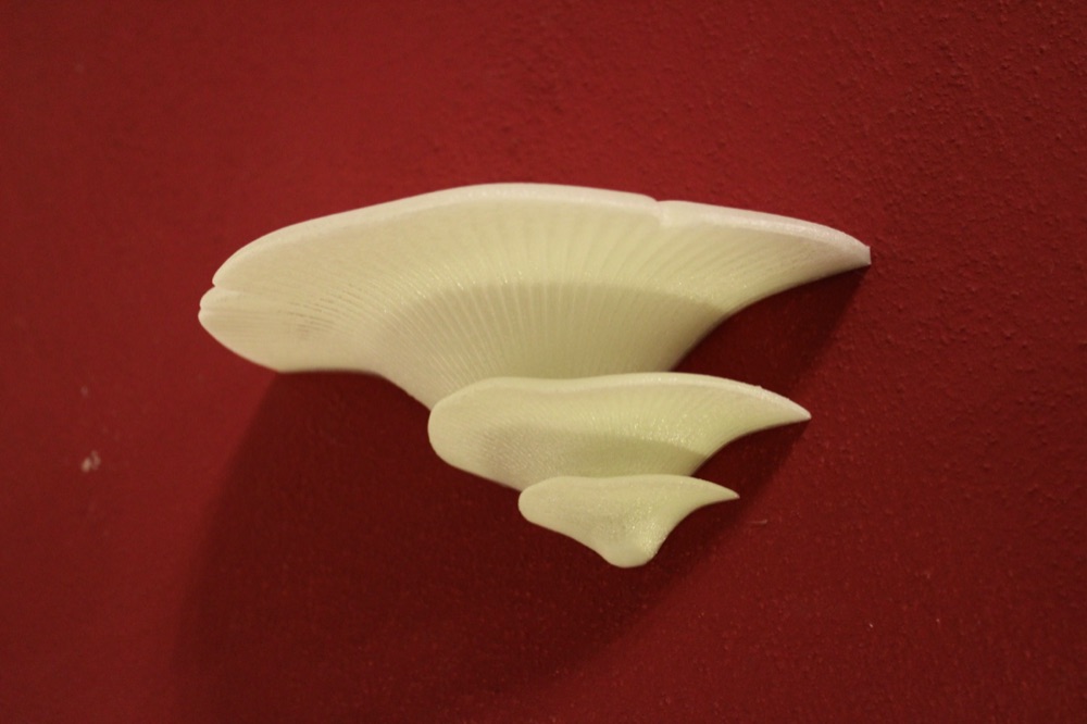 Mantar Biçimli Duvar Rafı (6 Model, Sağlam Askılı, 16 cm)