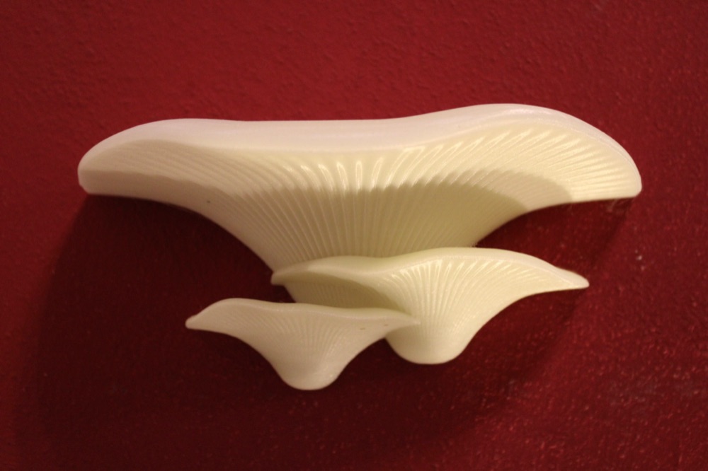 Mantar Biçimli Duvar Rafı (6 Model, Sağlam Askılı, 16 cm) görsel 3
