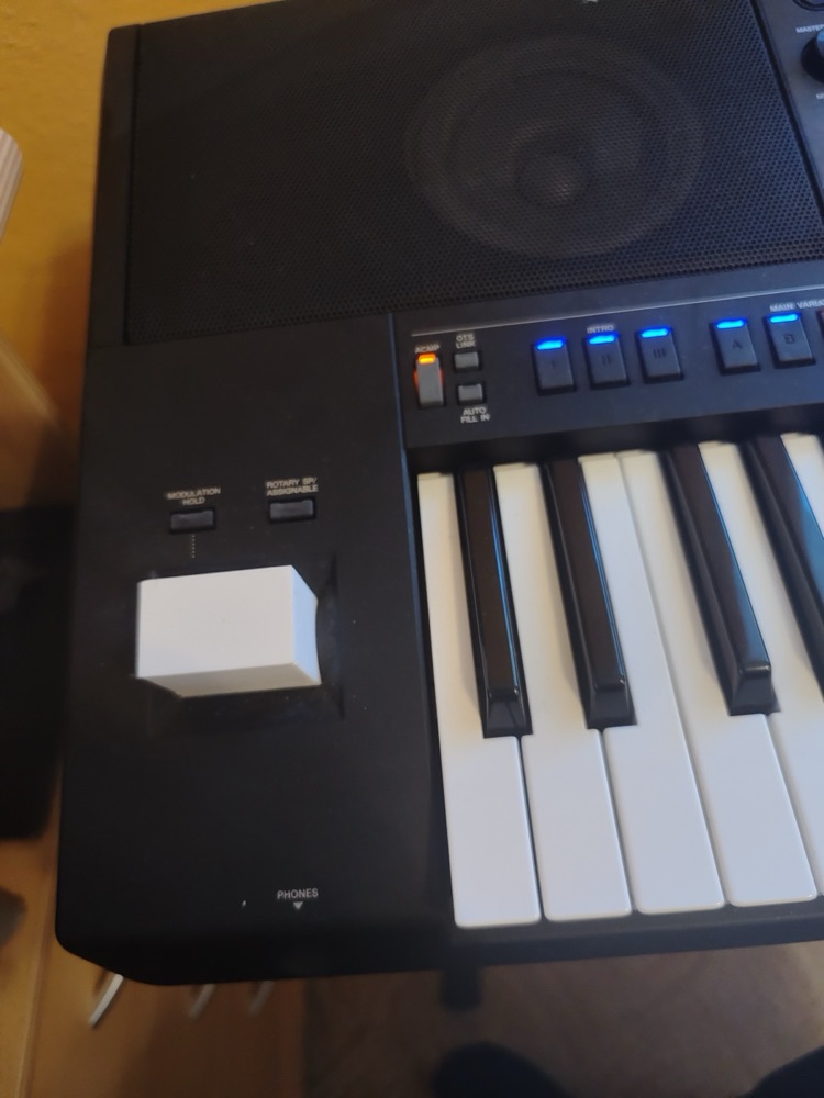 Yamaha PSR-SX900 Joystick Koruyucusu görsel 4