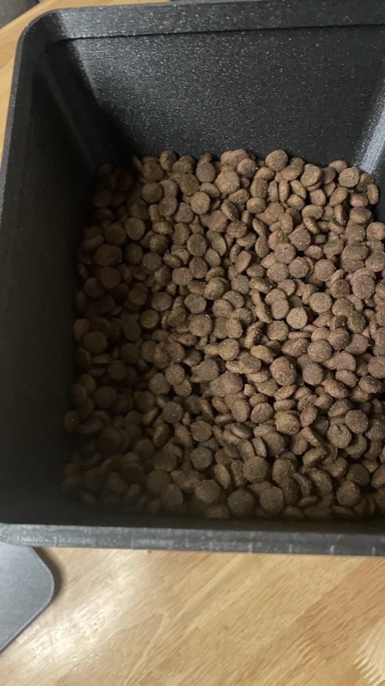 Kedi Mama Dağıtıcı (Büyük Hazneli, Elektriksiz, İsteğe Bağlı Ayaklı) görsel 3