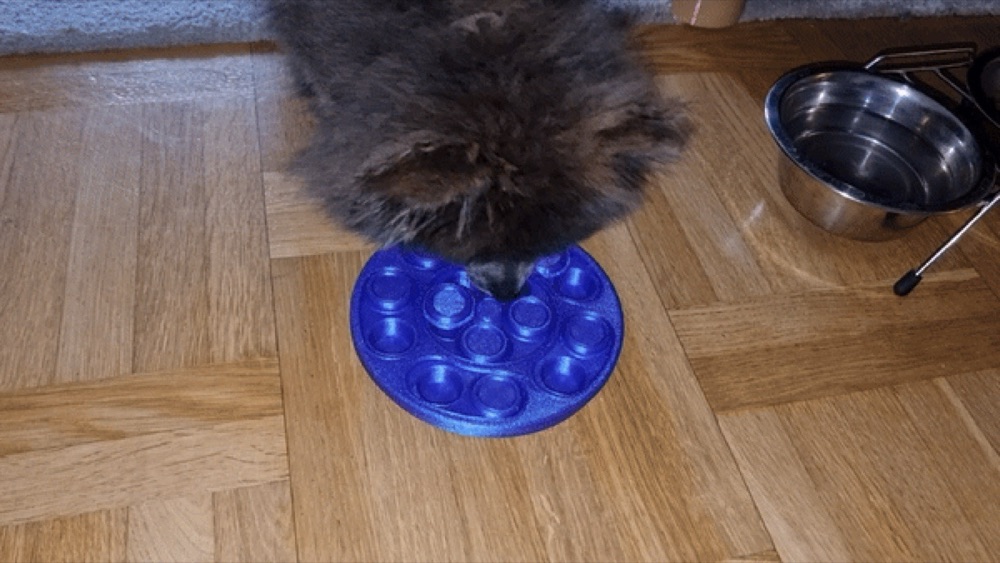 Ödül Bulmaca Plakası (Kayar Kapaklı, Kedi ve Köpek İçin) görsel 2