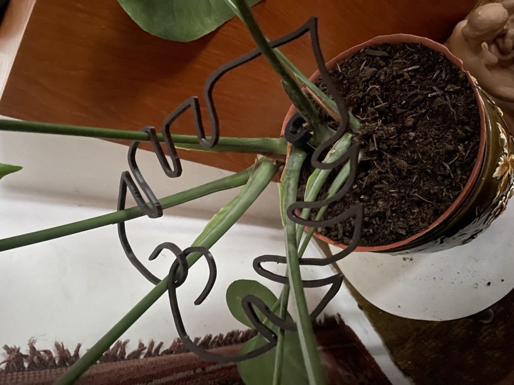 Monstera Yaprağı Biçimli Bitki Destek Çerçevesi