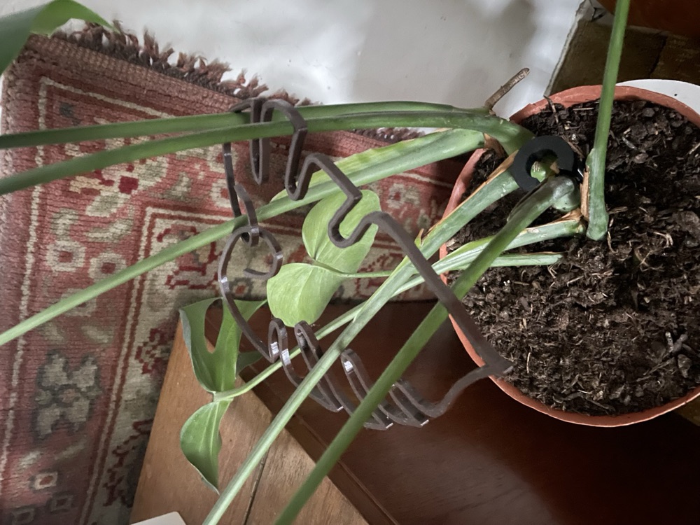Monstera Yaprağı Biçimli Bitki Destek Çerçevesi görsel 2