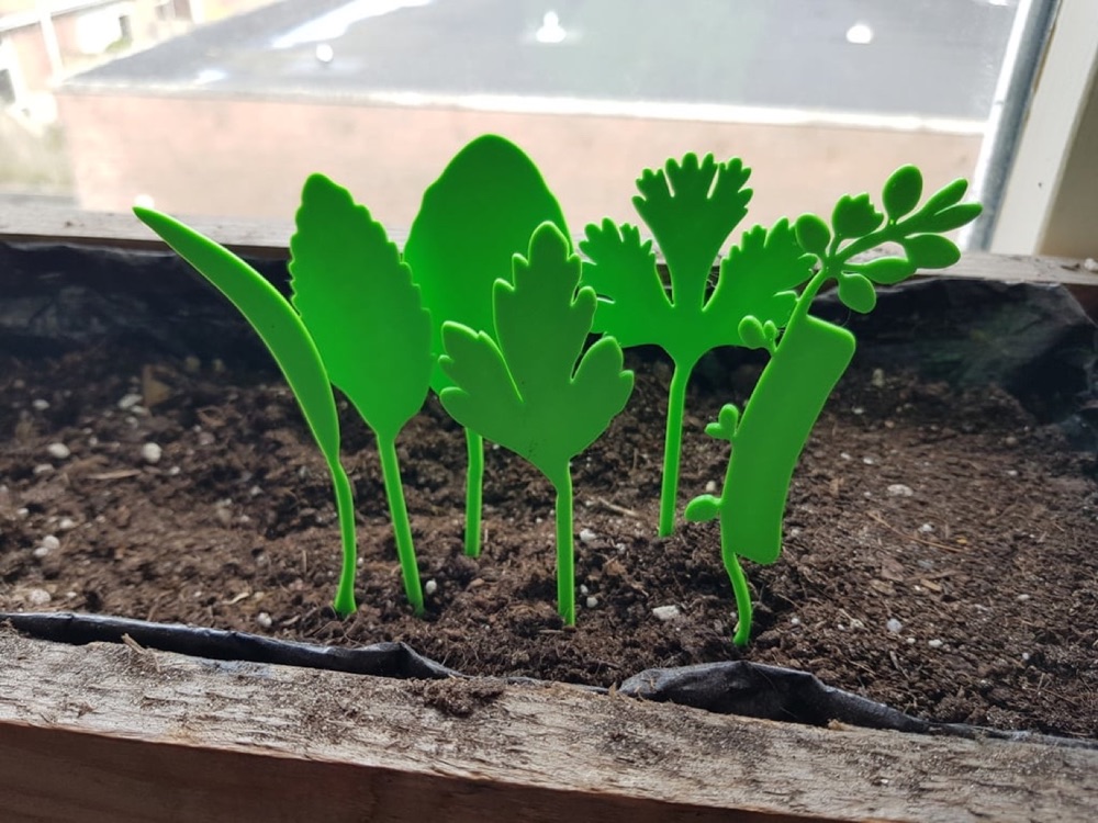 Yaprak Biçimli Bitki Etiketi Seti (Altı Aromatik Bitki, Adlı ve Boş Sürümlü)