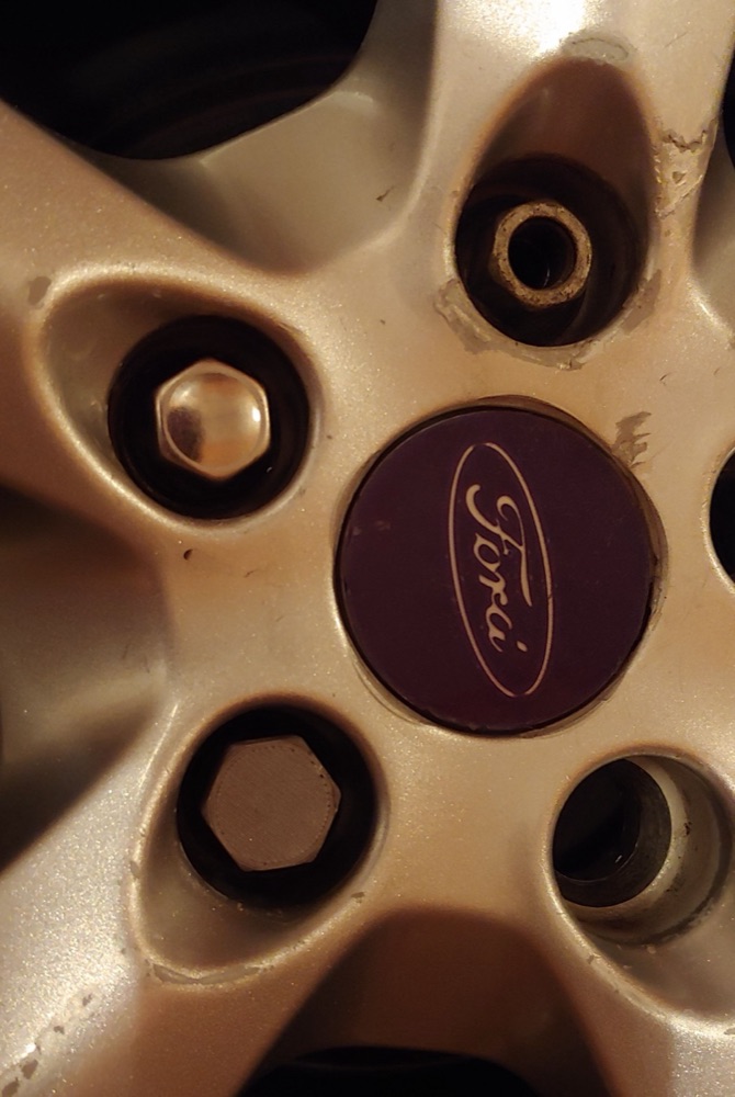 Ford Jant Somun Kapağı