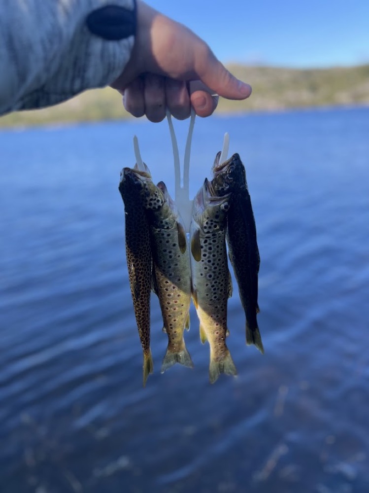 Kazikli Olta Tutucusu ve Balik Askisi görsel 2