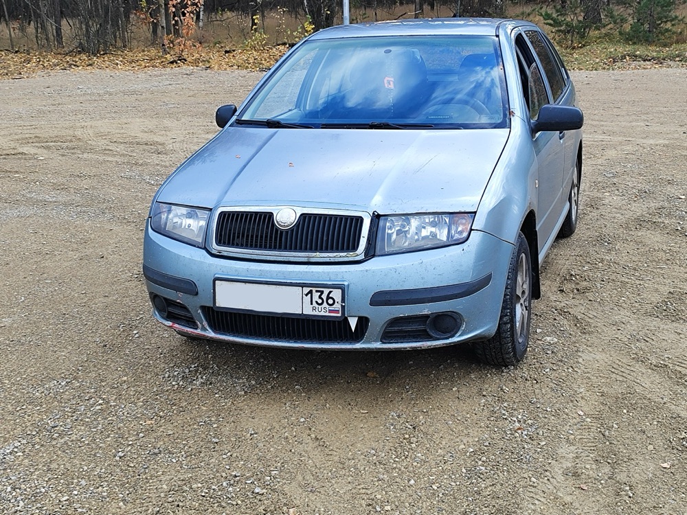 Skoda Fabia 1 Uyumlu Anime Diş Izgara Aksesuarı