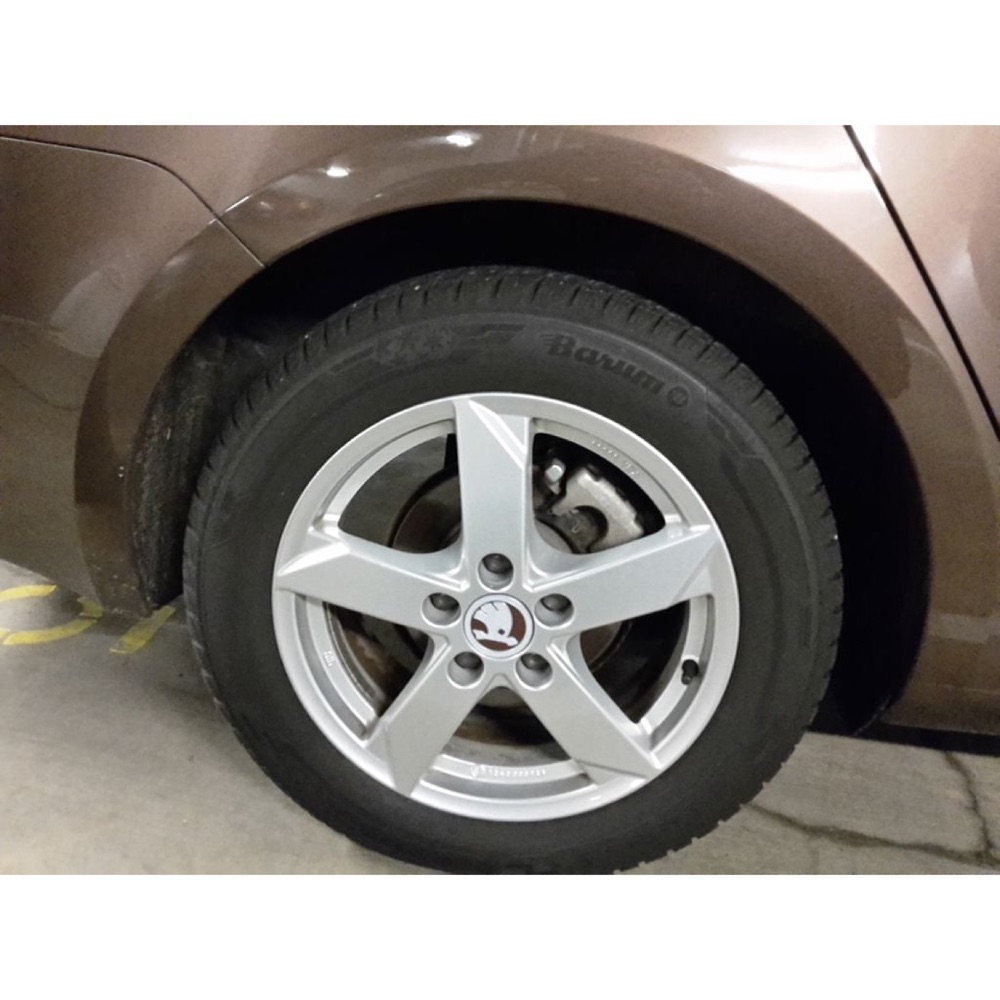 Skoda Uyumlu Alaşımlı Jant Göbek Kapağı görsel 3