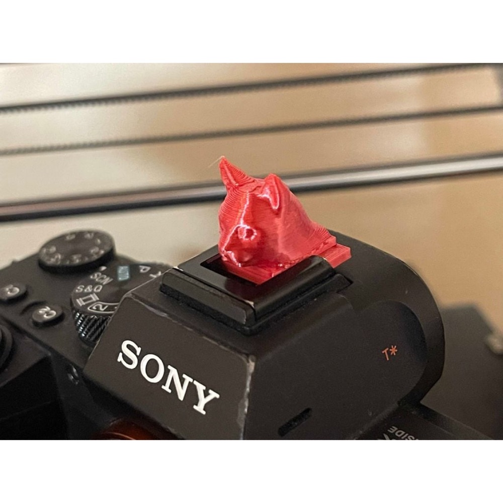 Sony Multi Arayüz Ayakkabısı için Kedi Şekilli Kapak görsel 1