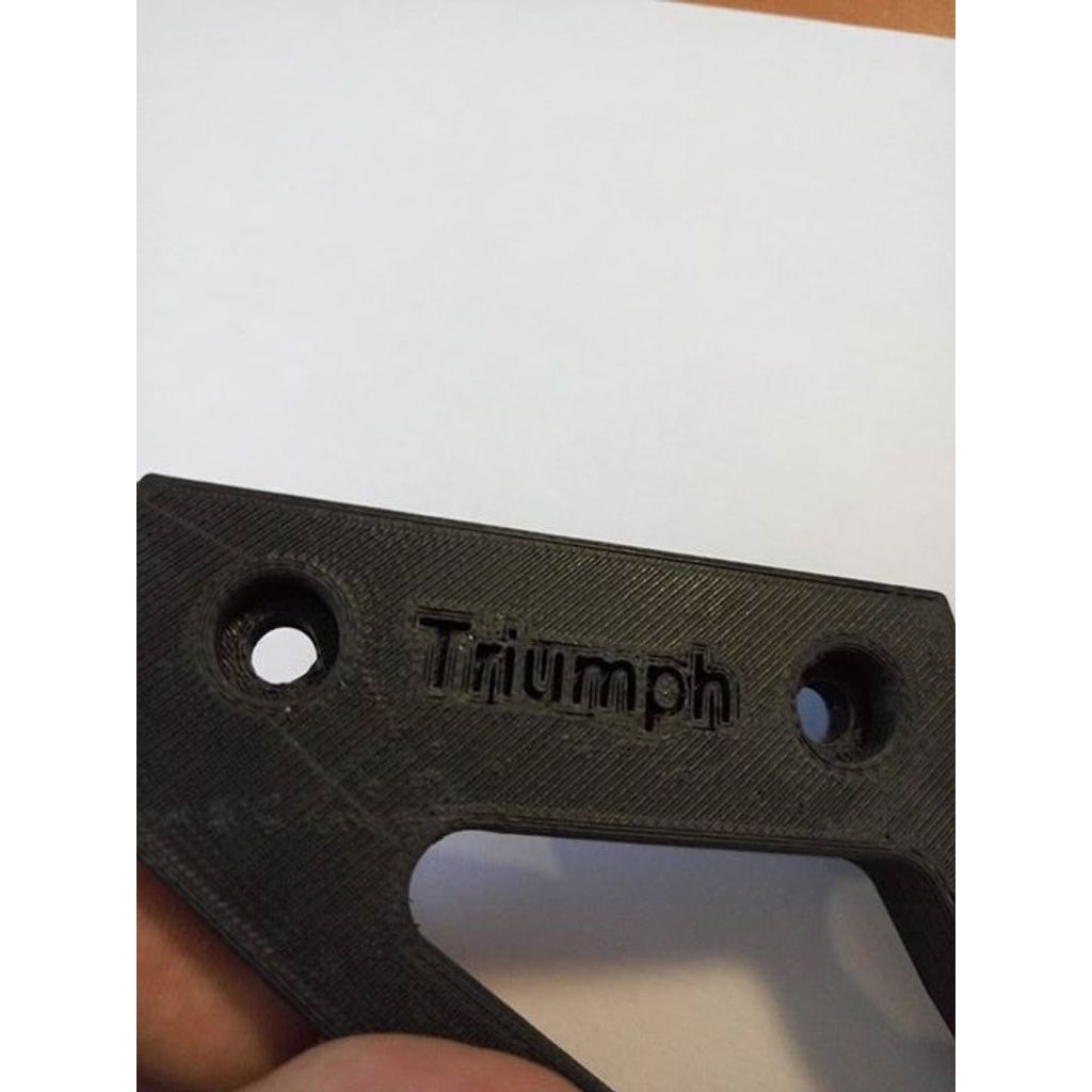 Triumph Zincir Koruması