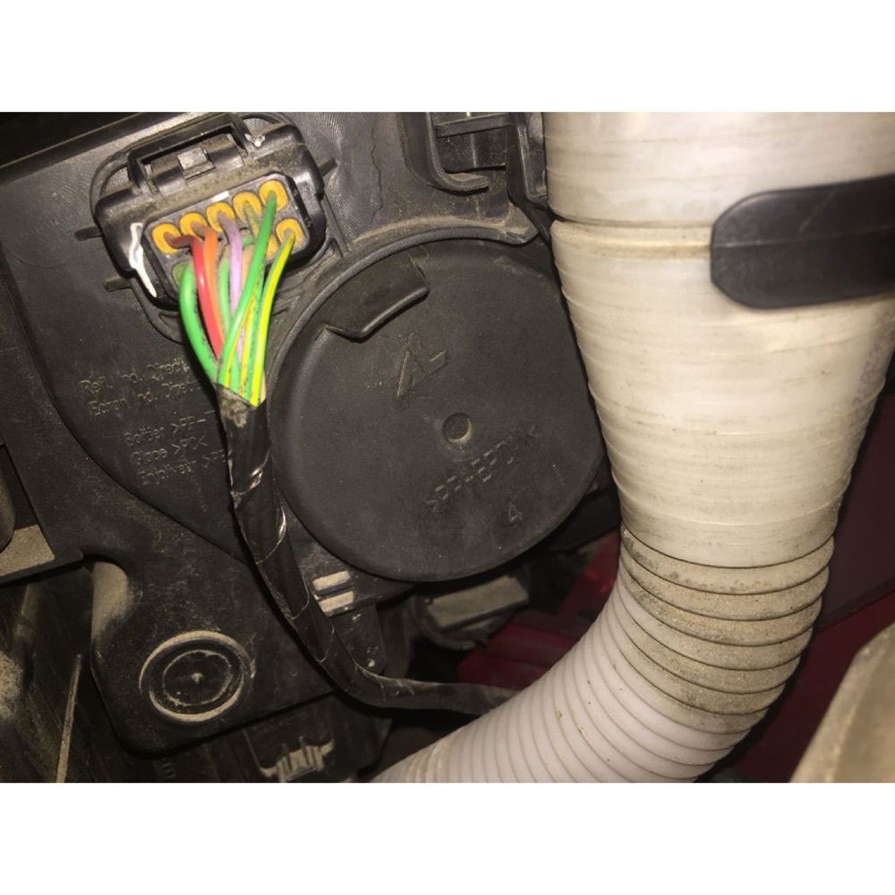Citroën C4 II Kısa Far Kapağı (Bouchon) görsel 4