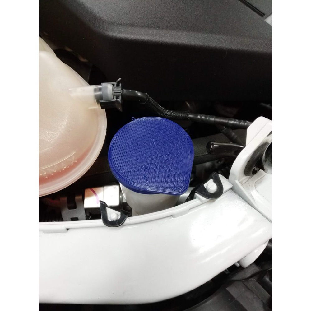 Ford Focus Mk3 Cam Suyu Deposu Kapağı