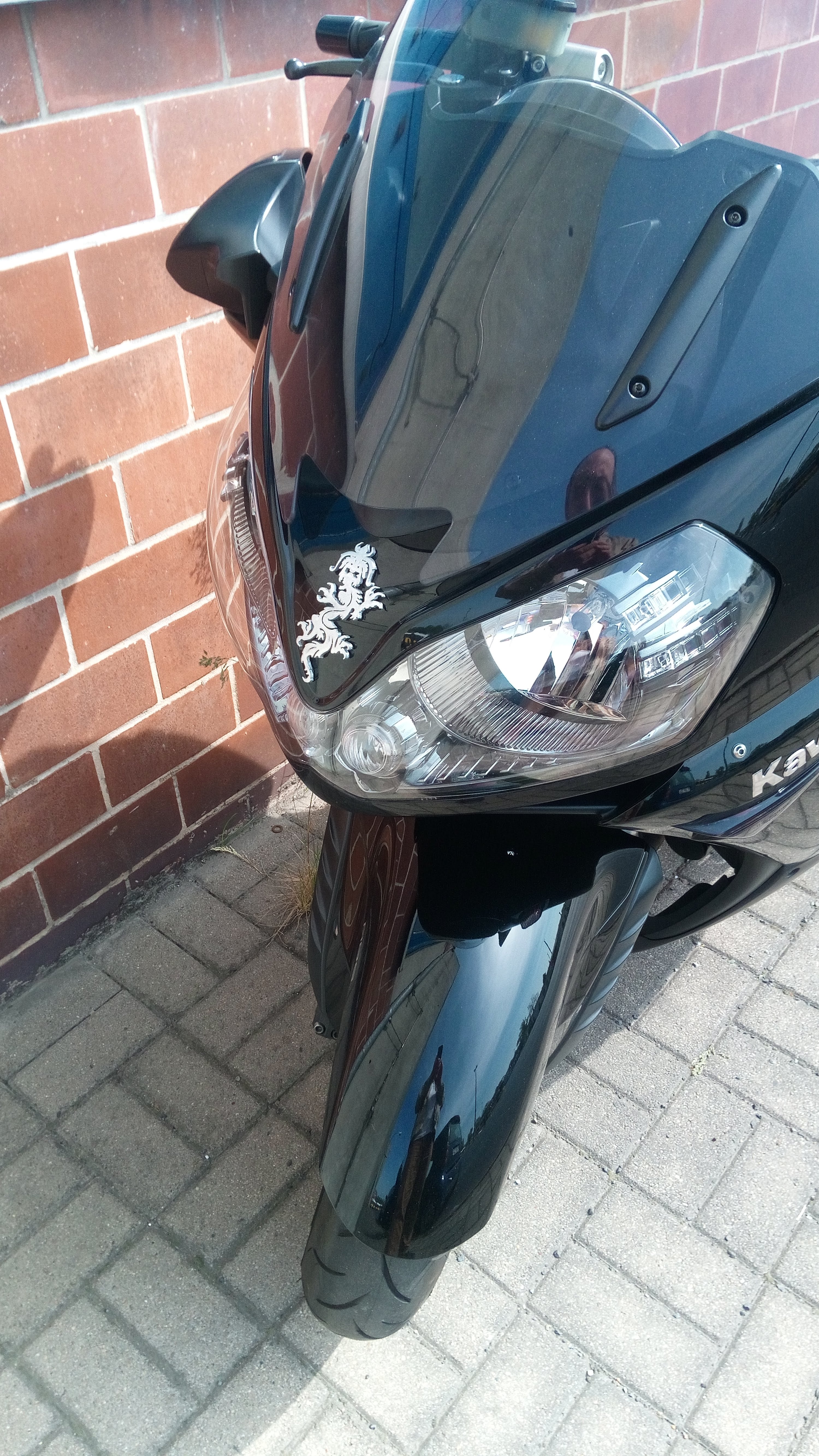 Motosiklet Temalı Ejderha Süs Objesi görsel 3