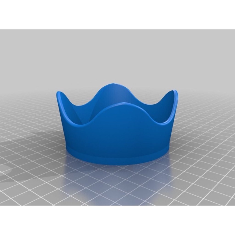 Canon 18 135 STM lens hood