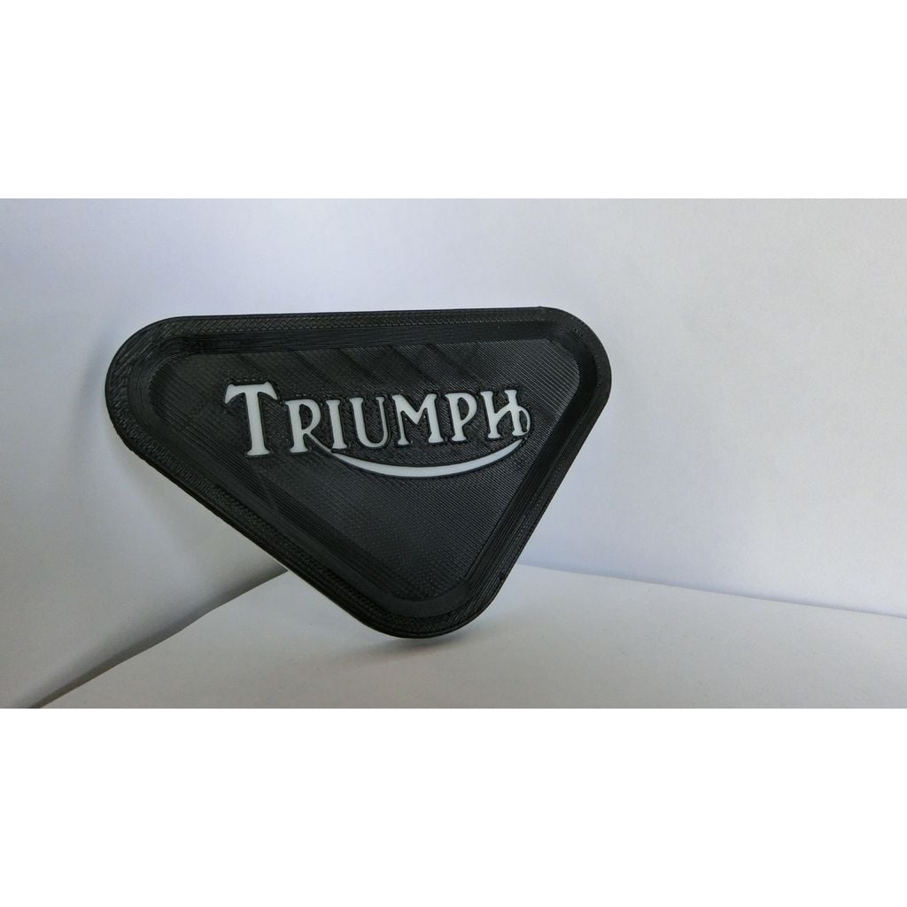 Triumph Motosiklet Destek Plakası görsel 2