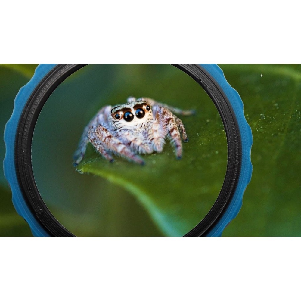 Canon EF/EF-S Lensler için Makro Ters Çevirme Adaptörü görsel 4