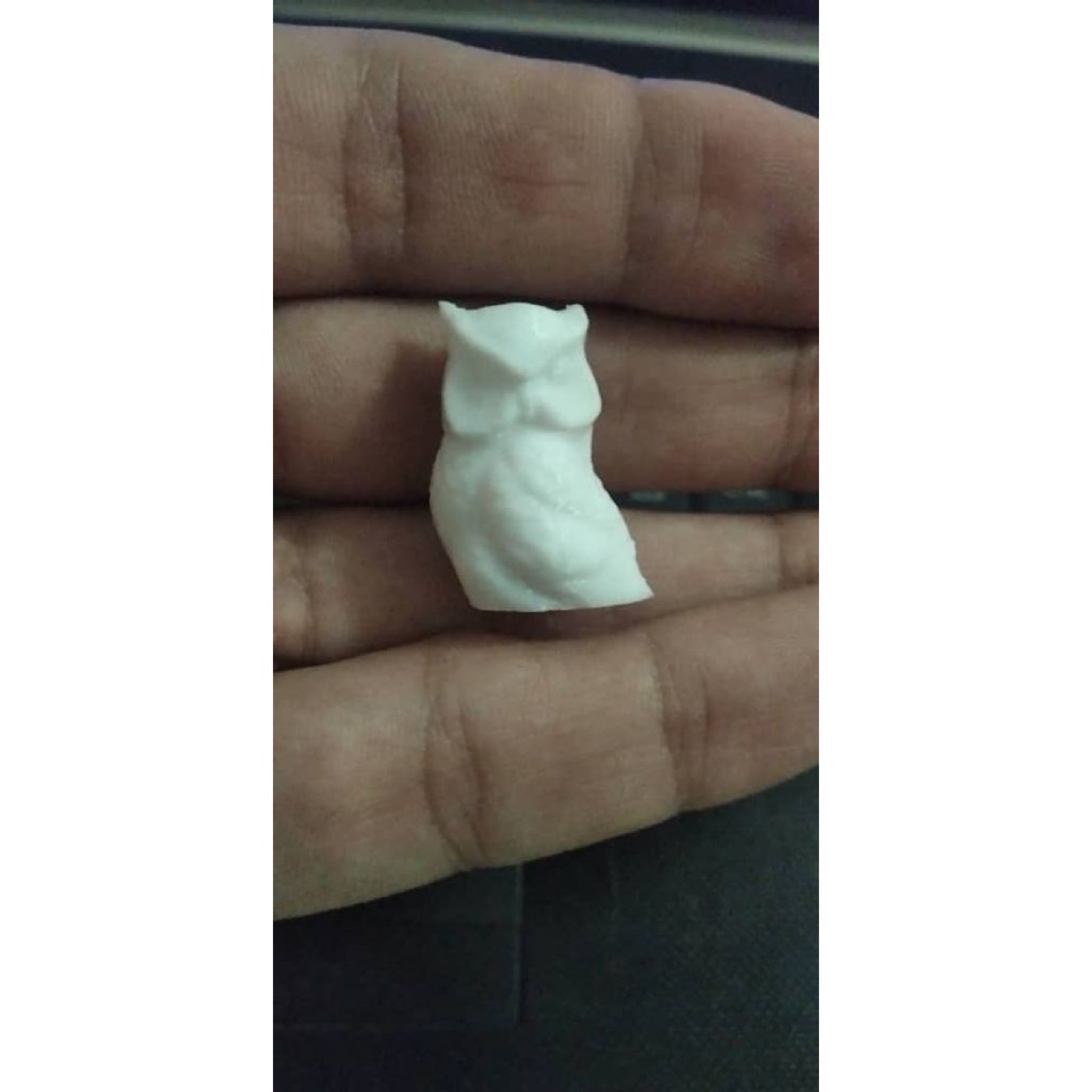 Bisiklet Baykuş Desenli Schrader Supap Kapağı görsel 2