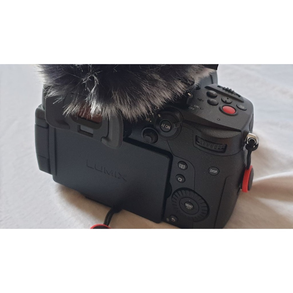 Panasonic Lumix GH5 Mark II için Deadcat Rüzgar Siperi Desteği görsel 4