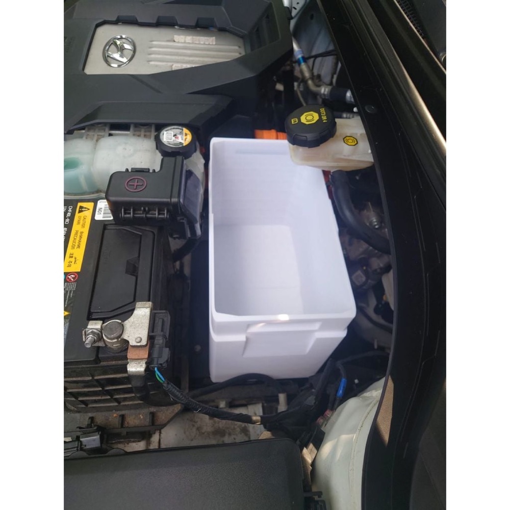 Hyundai Ioniq Ön Bagaj Kutusu