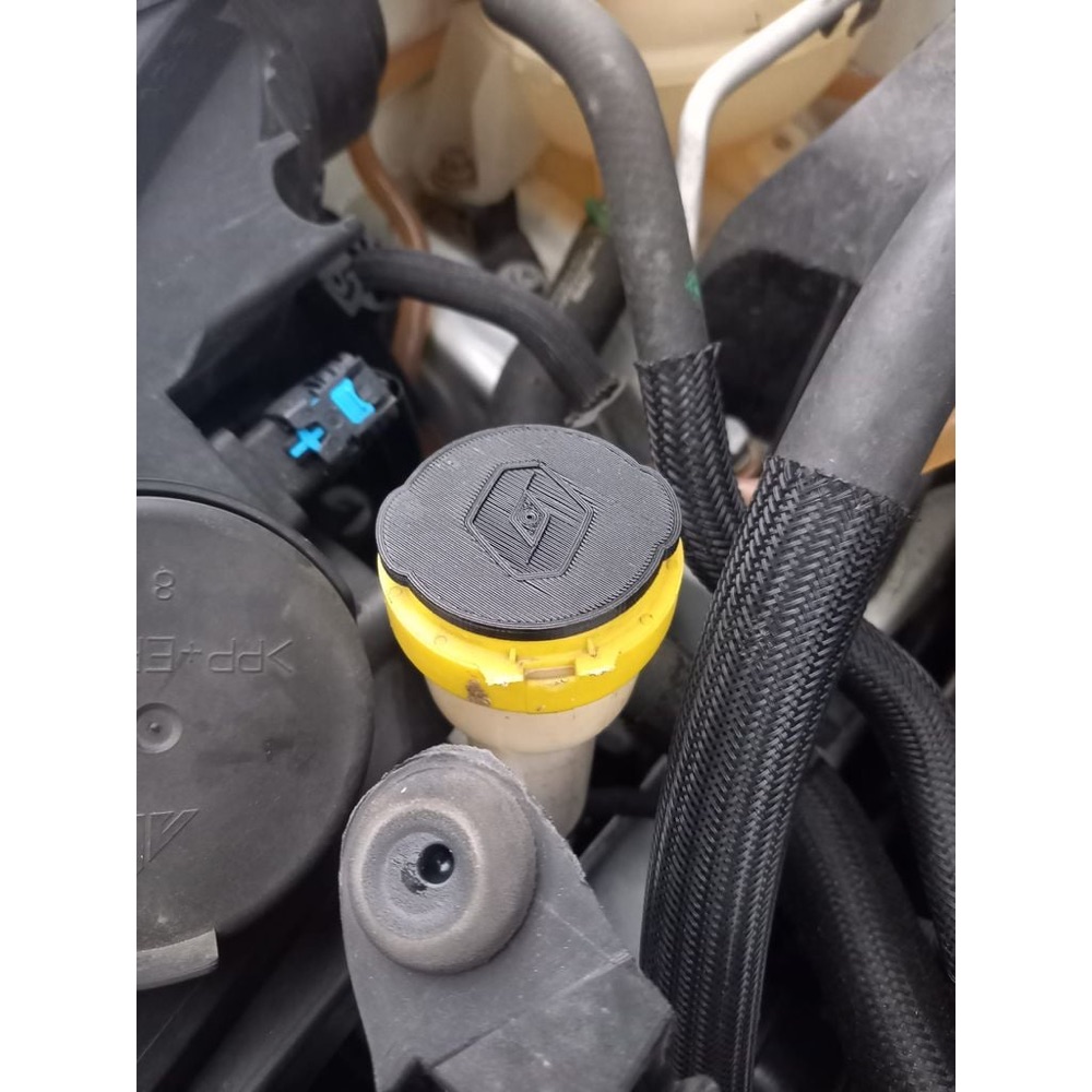Renault Clio Cam Suyu Deposu Kapağı (Yuvarlak Tip) görsel 2