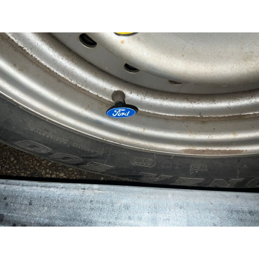 Ford Lastik Supap Kapağı (Oval Amblemli) görsel 4