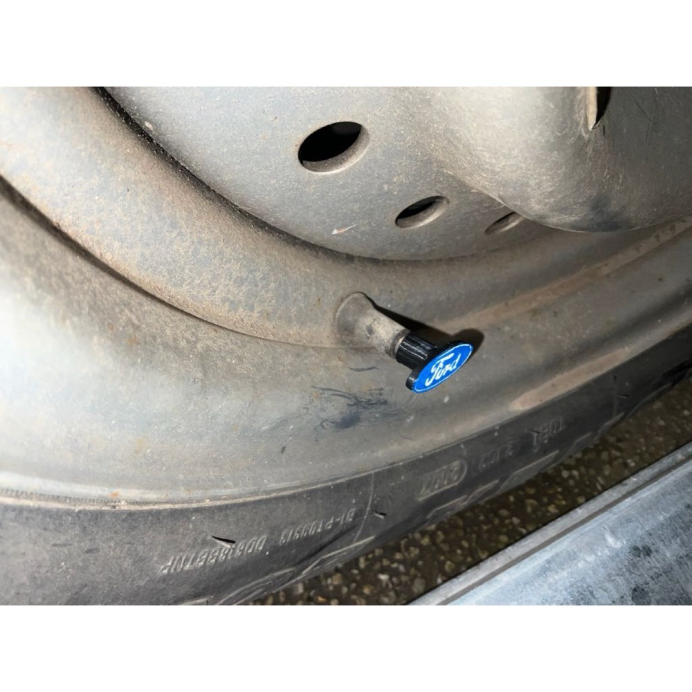 Ford Lastik Supap Kapağı (Oval Amblemli) görsel 5