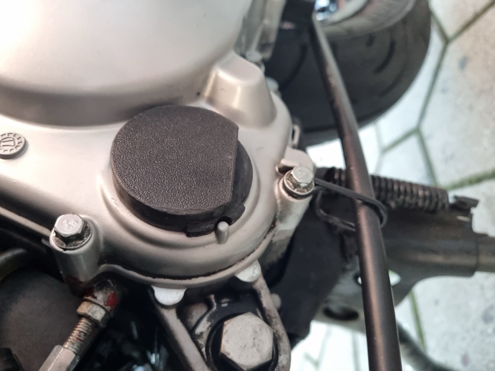Piaggio Typhoon Varyatör Kapağı görsel 3