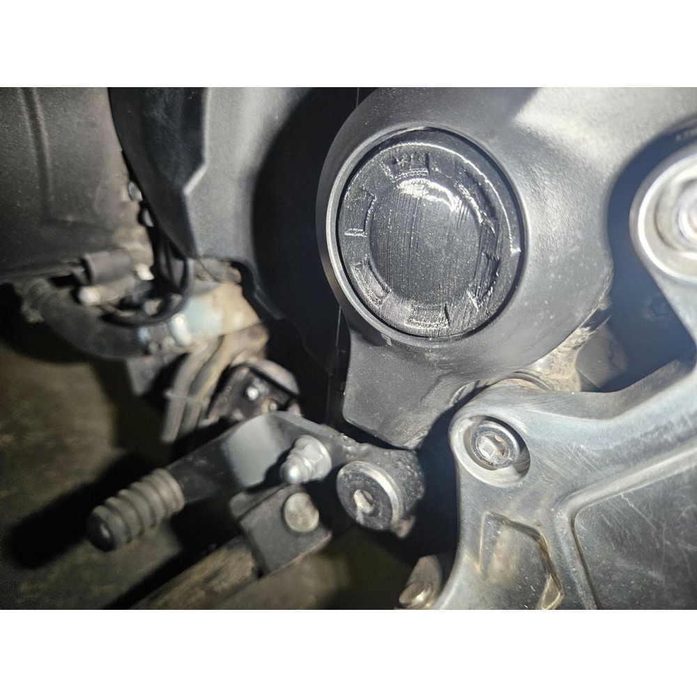 Triumph Trident/Tiger Sport 660 Salıncak Pivot Kapağı