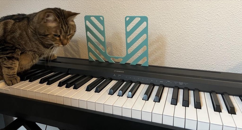 Yamaha P45 nota sehpası