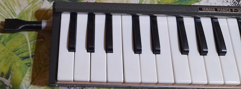 Yamaha Pianica P-36 ağızlığı görsel 2